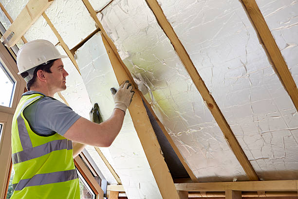 Best Insulation Installation Services in Taylor, AL