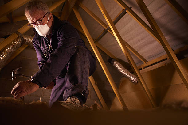 Best Residential Insulation in Taylor, AL